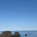 순이네 | 제주 구좌 맛집 소금바치순이네｜돌문어볶음 후기, 웨이팅, 가격