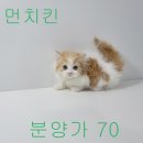 2개월된 최강 귀요미 랙또리가 돌아와따!!! 이미지