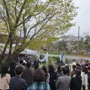 미스터바베큐 이미지