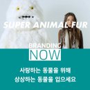 포포(For paw) 이미지