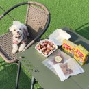 멍스쿠킹 이미지