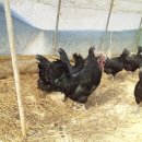 현내농장 이미지