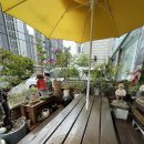 봉구할매김밥 이미지