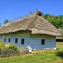 성실 행정사 사무소 이미지