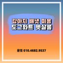 도그와트 이미지