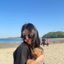 김씨송씨 - 양평군 용문로 530 | 김씨송씨