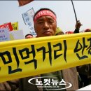 국민식탁 노컷뉴스