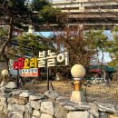산닭오리불놀이 이미지