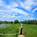 섬진강변 그라운드골프장(테니스장) | [부산 화명동 가볼만한 곳 추천] 6월 여름날의 낙동강 하구 "화명생태공원" 걸어서 시원한 산책하기...