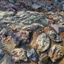 순천자연휴양림 이미지