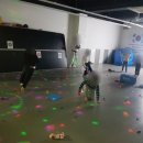 K스타 태권도장 이미지