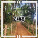 애월담아 | 사진으로 담아온 제주 애월 동네 오름 《고내봉》 산책 후기