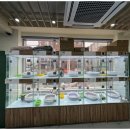 순진한 강아지 이미지