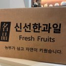선들농장 | 경산 신비복숭아 농장 직배송 몽풀농장 2kg 선예약 솔직후기