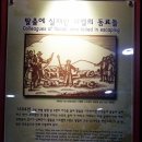 제주하멜 이미지