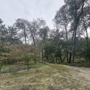 숲해설가와 떠나는 가을 숲 나들이 - 금정산 숲길 탐방 | 서울 헌인릉, 왕족의 역사가 흐르는 서리풀 가을 여행 - 헌릉편