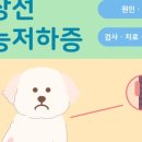 신사동물병원 이미지