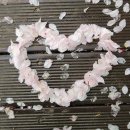 양재시민의숲역 2~3번출구 사이 | 양재시민의숲역 맛집 | 솥탐 - 양재동 닭볶음탕 맛집 내돈내산 점심 식사 후기