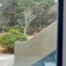 은하수 제주 이미지