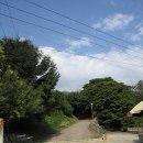 조광약수터 | [경북 봉화]오전약수터, 축서사, 닭실마을