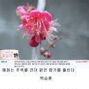 향기를새기는사람들