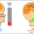 라지트