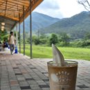 산정목장 2 | 포천 카페 사르르목장 산정호수 아이스크림 카페라떼 카이막 치즈 애견동반