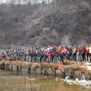 한우사랑 이미지