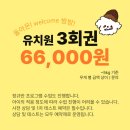 밤밤 애견유치원 이미지