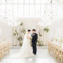 달하우스 이미지