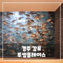 경주 감포 투썸플레이스 후기 - 수족관이 있는 대형 카페, 오션뷰 + 주차 총정리