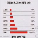 비암사 | 세종 비암사 둘레길