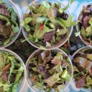 관기초교 병설유치원 이미지