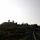 에델바이스 이미지