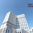 강릉역블루핀공인중개사사무소 네이버블로그