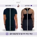 필라테스;단 이미지