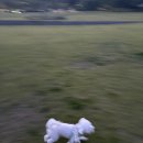 띵동 이미지