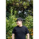 호텔휴식서귀포 | 급 겨울여행 in 제주_호텔 휴식 서귀포(마운틴 뷰)⎟은희네 해장국 서귀포점⎟감귤체험 카페 귤한편