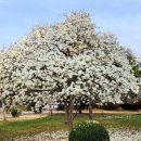 한양대(제1학술관) 이미지