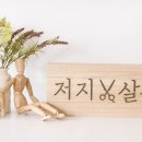 저지살롱 이미지