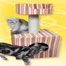 아이앤유컴퍼니 이미지