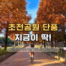 서운체육공원 (반려견센터) | 진주 아이와 가볼 만한 곳 초전공원｜산책코스 총정리