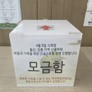 태극 매호관 태권도장 브레이크뉴스강원