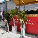 금손김밥 이미지