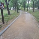 학운공원 쪽 이미지