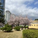 연지공원(시계탑) 이미지