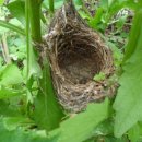 풍경시골 이미지