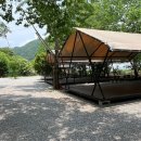 강촌포도팬션&캠핑장 이미지