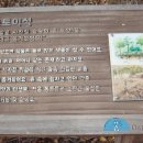 밀레현대 이미지
