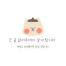 대명사우나 | 남해 쏠비치 소노시즌 방문후기 (대명 호텔침구 구매할 수 있는 곳) feat.할인